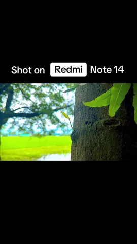 Redmi note 14  camara test❤️ #redminote14 #camara #redmi #foryou #fyp @TikTok Bangladesh @TikTok @For You @Xiaomi Bangladesh 