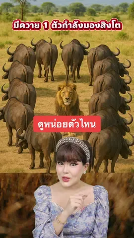 ตัวไหนช่วยกันมองหน่ิอย !!! #สิงโต #pepkemika #เป๊ปเขมิกา #viral #fyp 