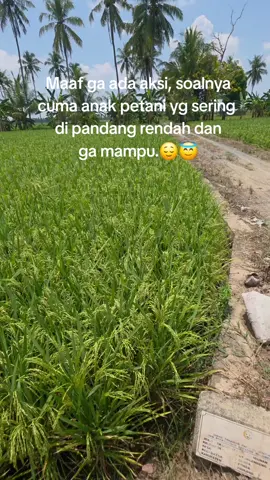 😇🌾#anakpetani #story #bugis #creatorsearchinsights #sad 