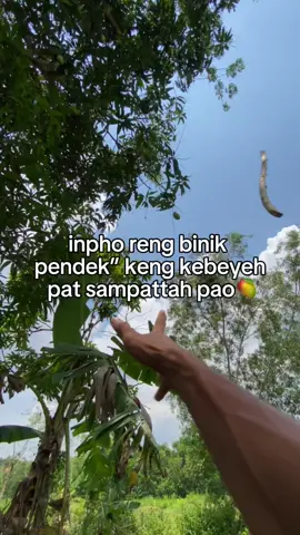 😁🥭🥭#fyp #fypforyoupage #mangga #fypシ゚viral🖤tiktok 