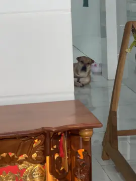 Không có cái dì tự nhiên mà bị cột lại hết á😒