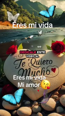 #fypシ゚viral#eres#elamor#demi#vida