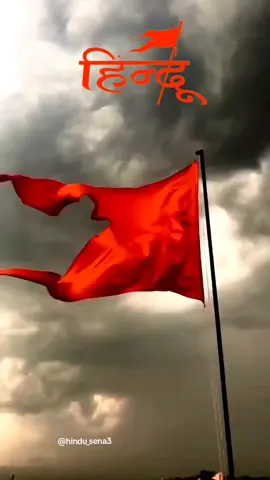 Hindus 🚩🙏  . . . . . #fyp #viral #forypupage #explore #sanatandharma🚩🙏💪🔱 
