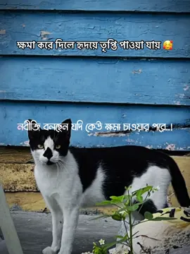 যার সাথে যাই হয়েছে মাফ চেয়ে সব কিছু মিটিয়ে নিন  এবং আপনি মাফ করে দিন 🤲🏻😇 #unfrezzmyaccount #viralvideo #tiktok #trending #viral 