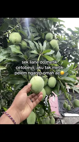 #wongmumet #foryouu 