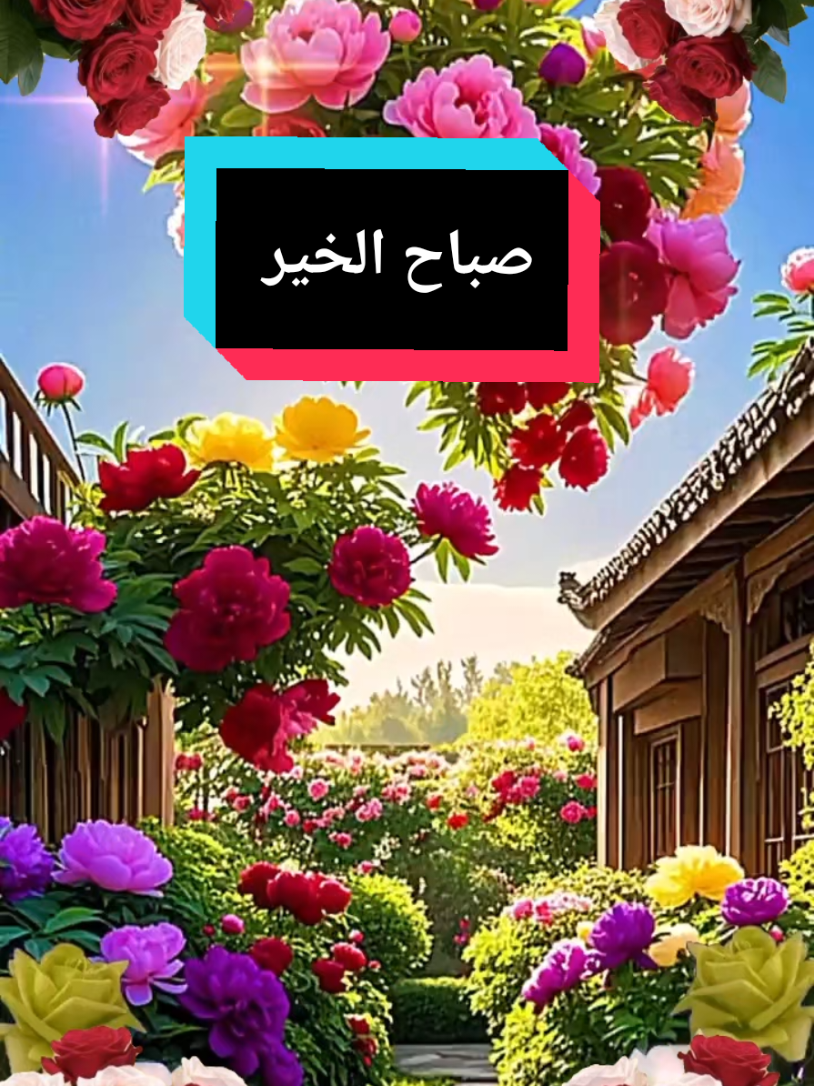 صباح الورد والجمال على أجمل متابعين  #صباح #صباح_الخير #صباحكم #ورد #suha 
