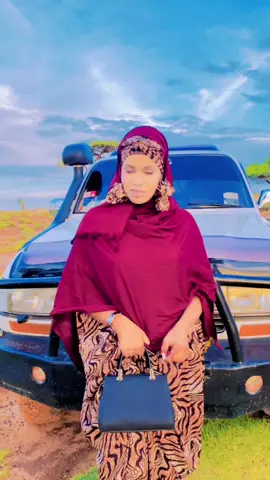 #dalyare🤍🌴🐎 