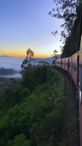 Sri Lanka 🇱🇰 we call it home  #visitsrilanka #srilanka #beautifuldestinations #trainride #srilankatourism 