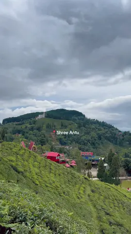 🌿#fyp #shreeantu 