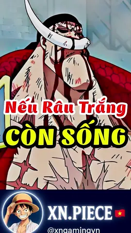Nếu Râu Trắng Còn Sống#xuhuong #anime #onepieceedit #onepiece #ytb 