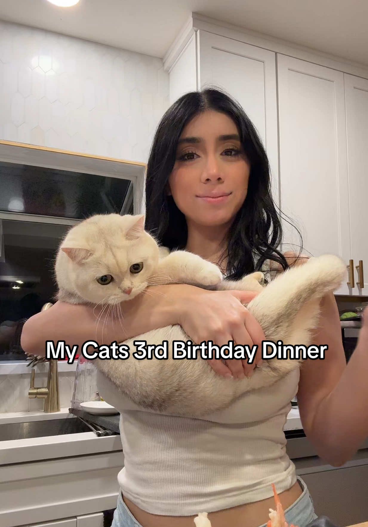 the life of a cat mom #britishshorthair #catmom #catlife #fypシ 