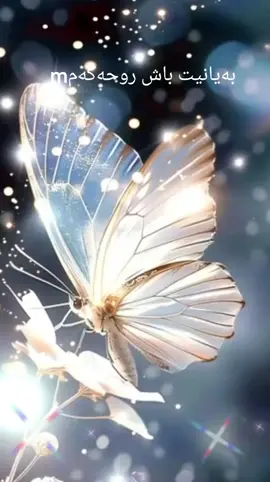 #foryou #fyp @هـەمـوو ژیـانـم هـاوسـەرەکـەم❤ 