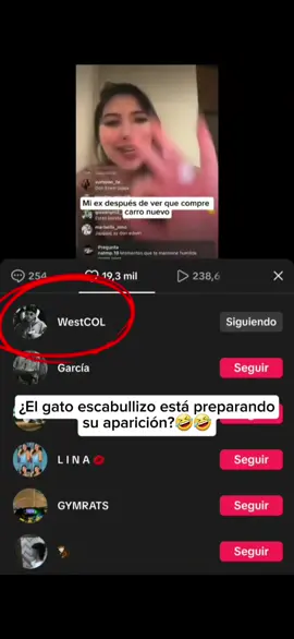 El gato escabullizo de Westcol está haciendo apariciones mi gente #westcol #aidavictoriamerlano #aida #viral 