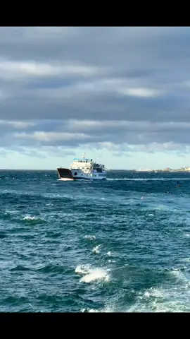 面朝大海，观云卷云舒，看海鸥飞舞#日常生活 