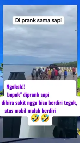 ada aja kelakuan hewan lagi gabut🤣🤣 #hiburan #hewanrendem  #jangkauan