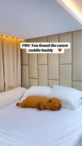 #capybara #capybaralover #longpillow #fyp #yellowbasket 