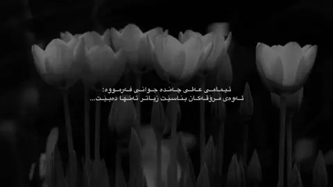 زیـاتر تـەنهـا دەبیت…🌚#الهم_صلي_على_محمد_وأل_محمد #foryoupage #fyp #foryoupageofficiall #foryou 