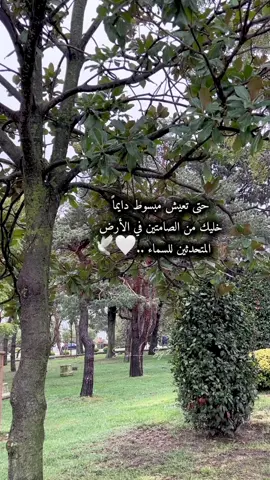 #يسعد #صباحكم #اكسبلور 🤍🕊️