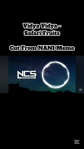 #ncs #2018memes  #foryoupage #nostalgia #memes 