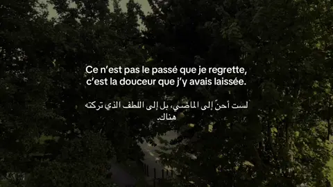 #pourtoi #fyp #poeme #fairuz 