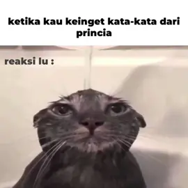 ada yg related? - - sumber:@ᴍɪʏᴜ✰  #animequotes #animeedit #blackclover #fyp #beranda 