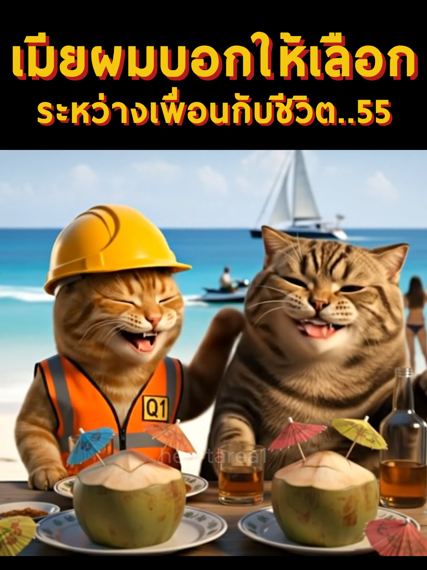 เมียผมบอกให้เลือกระหว่างเพื่อนกับชีวิต..555  #แมว #แมวน่ารัก #heartarea1 #fy #ตลก