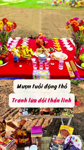 Mượn tuổi động thổ nhưng không được lừa dối thần linh #phongthuytueminh #muontuoidongtho #phongthuy #viralvideos #thayphongthuy 