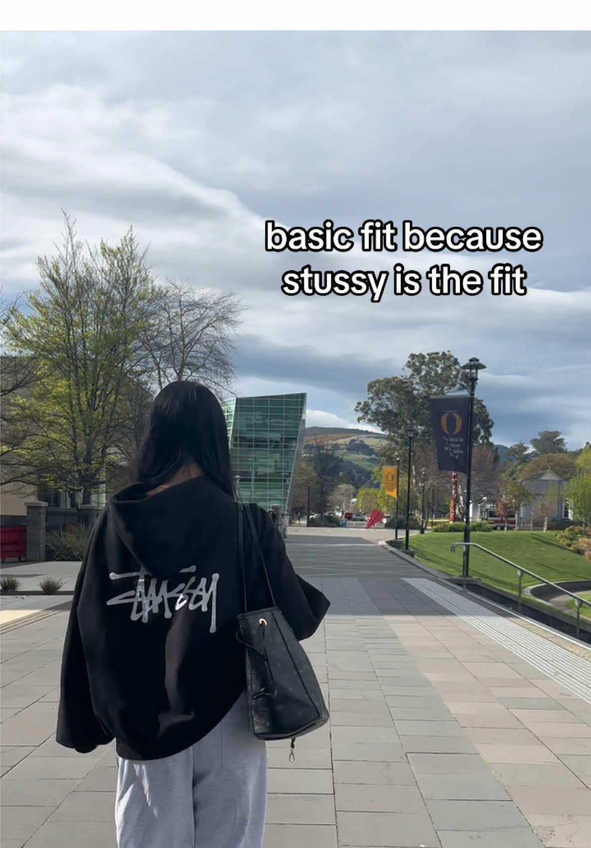your sign to get a stussy hoodie #stussy #abg #basicoutfit #basicfit #simpleoutfit 