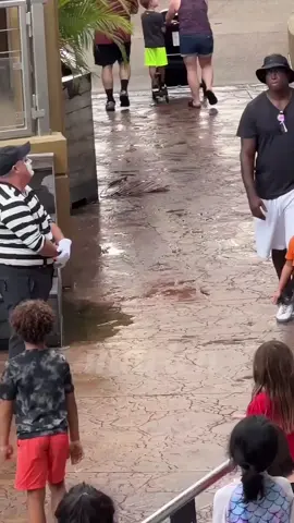 27.5K #tomthemime #seaworld #seaworldmime #mrbeast #mimeseaworld