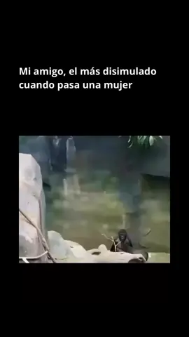 #xdd #humor 