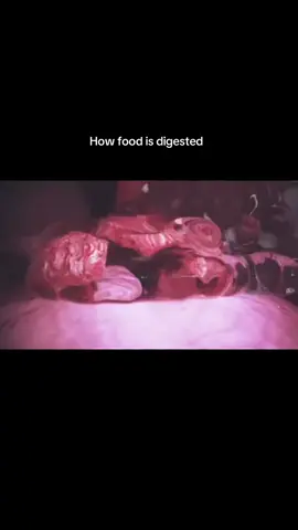 How good is digested #Science #TikTokLearningCampaign #foryoupage #digestivesystem #digestion 
