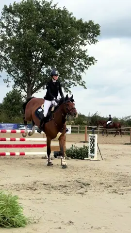 💯#equestrian #horseedit #fyy #horsesoftiktok #horsetok 