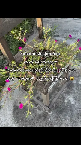 #စနိုက်ကြော်မတွေရဲ့လက်သုံးစကား #ဒါလေးတော့fypပေါ်တင်ပေးပါ😧💖 #fypシ゚ #fyppppppppppppppppppppppp 