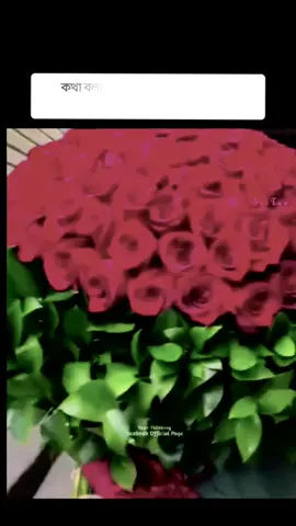 #foryou #foreyoupage #tiktok 