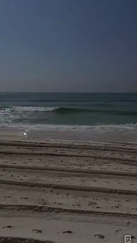 ‏المنظر المسموح تكراره كل يوم 🥹🥹🫶🏻@منصور ال زايد | Mansour @عبدالله بن سويد @منصور ال زايد احتياطي @رجا بن فهد | ALHAJRI #منصور_ال_زايد #تصاميم_توت_الخالدي #foryou #vpn #everyone 