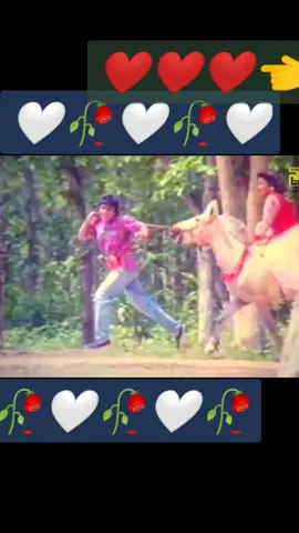 #🥀❤️💕🌷🌿🌹🍀☘️💚💙 #foryou #trend #bdtiktokofficial 