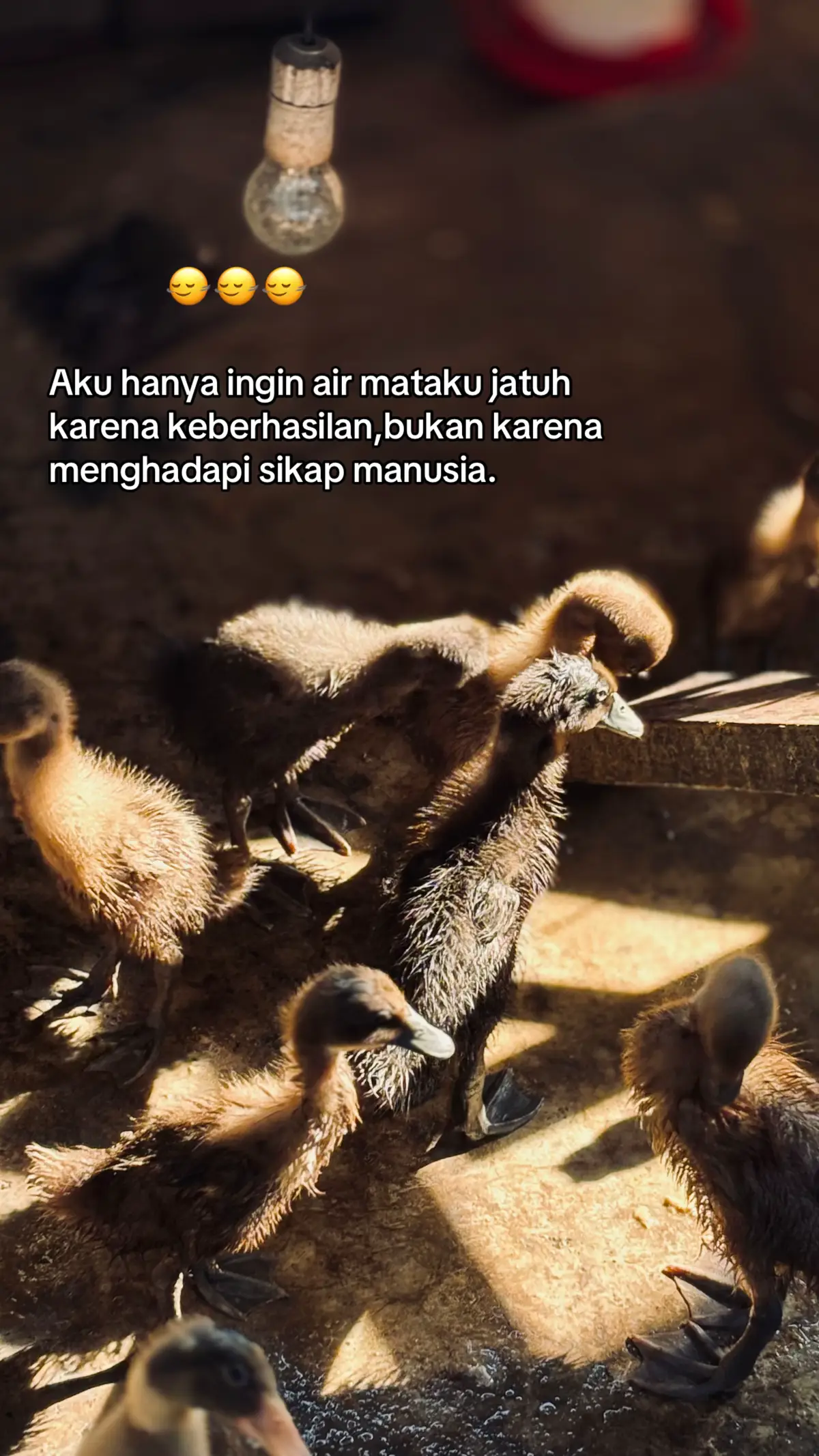 #katakatamotivasi #katakata #xybca #lewatberanda #fyppppppppppppppppppppppp 
