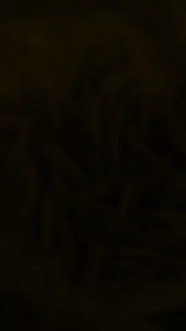 OGAK PENA SUPER KING 🔥 