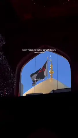 ya Ali madad 💚#viralvideo #freepalestine🇵🇸❤️ #unfrezzmyaccount🙏 #shiacommunity #folowers➕ 