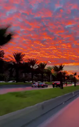 #sunset 🌅 #🇩🇿 #اجمل_غروب_شمس #alger #dzpower 