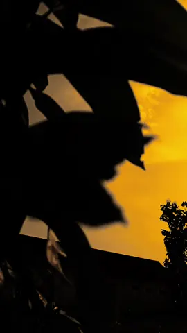 دَعْهَا مَعَهُ، الْمُهِمُّ أَنْ لَا تُؤْذِيَهَا أَبَدًا. Biarkanlah dia bersamanya, yang penting kamu tidak pernah menyakitinya. #syairarab #qoutesarabic #arabicsong #langitaesthetic #xyzbca 