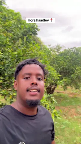 #foryou #camping #somalitiktok #ftypシvi #traveltiktok 