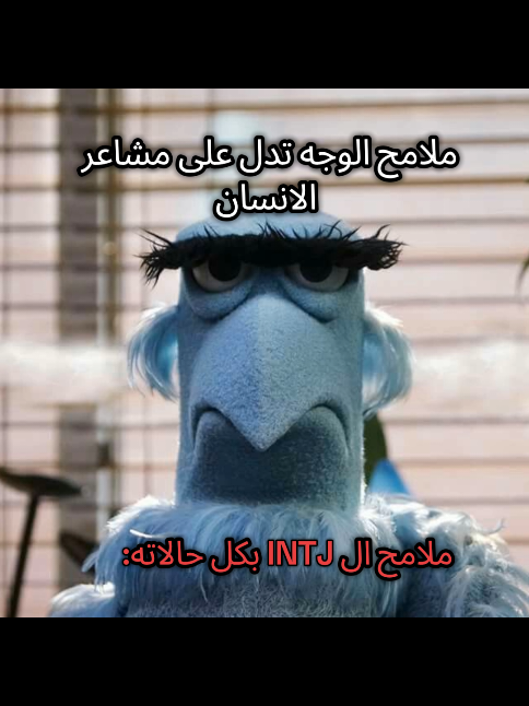 ما قد شفتهم يبتسمو ههههههههههههههههههه #انماط_الشخصية_mbti #INTJ #محتوى_عشوائي #ملامح #ذبات 