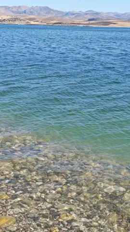 Varsa daha iyisi oda bizden birisi😄🎣💯