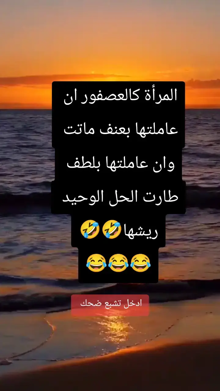 #creatorsearchinsights  #videoviral  #viraltiktok  #CapCut  #video  @الضحك وتمهبيل شرات والمعاني✌ 