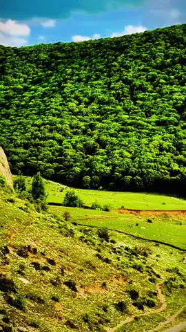 Love You Both Shia Sunni 💞