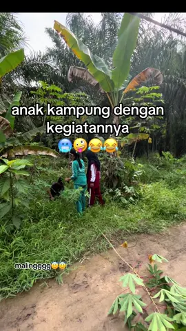 #anakkampung #anakbugis #fyp 