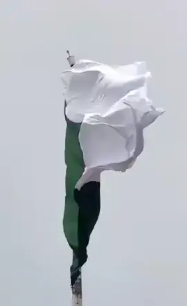 #للشعب_الصيني_ماله_حل😂😂 