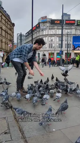 Helping a bird with a recent case of stringfoot in Manchester city centre. #animalrescue #birdrescue #birds #pigeon #manchester 