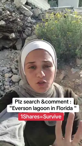 Been dying to experience the 31 evermore bay lagoon pool ever since I saw it from my plane window last year and my dreams finally came true.best pool in Orlando hands down. #eversonlagoonflorida #orlandoflorida #traveltiktok 
